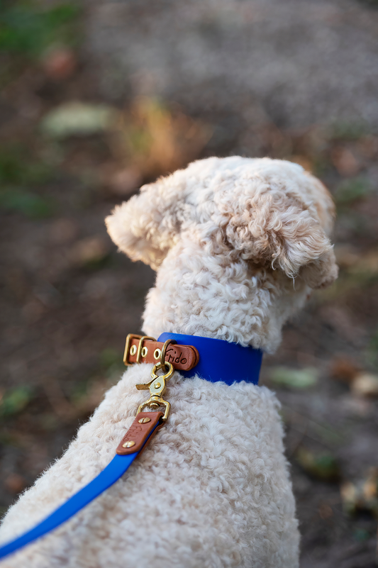 Collare per cani in Cuoio e Biothane® linea Combo - personalizzabile - Frido