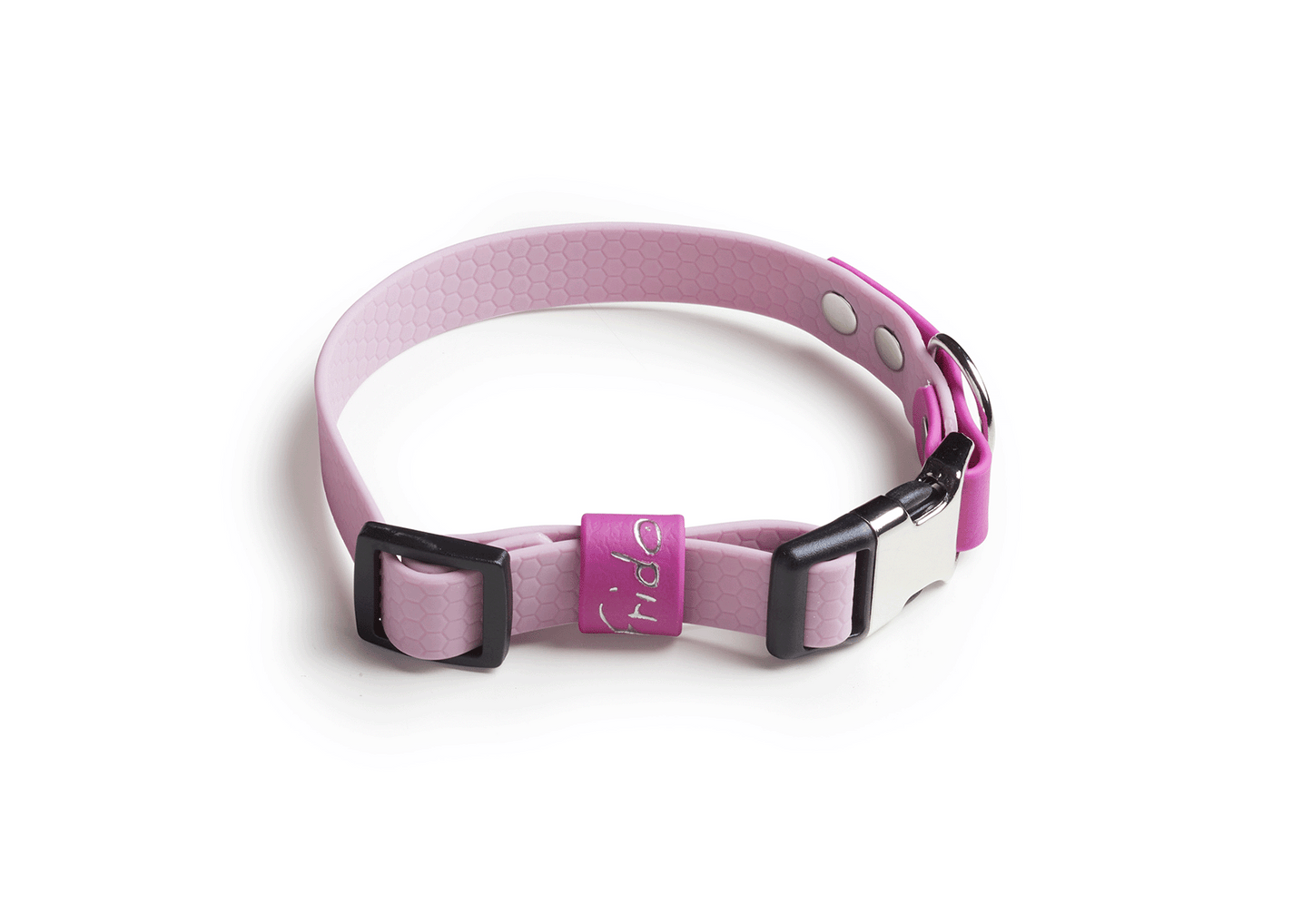 Collare per Cani con clip Linea Pop - Frido