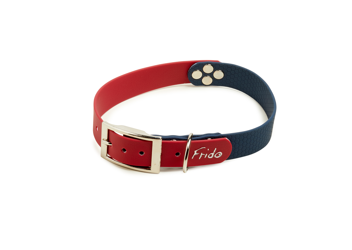 Collare per Cani Linea Pop - Frido