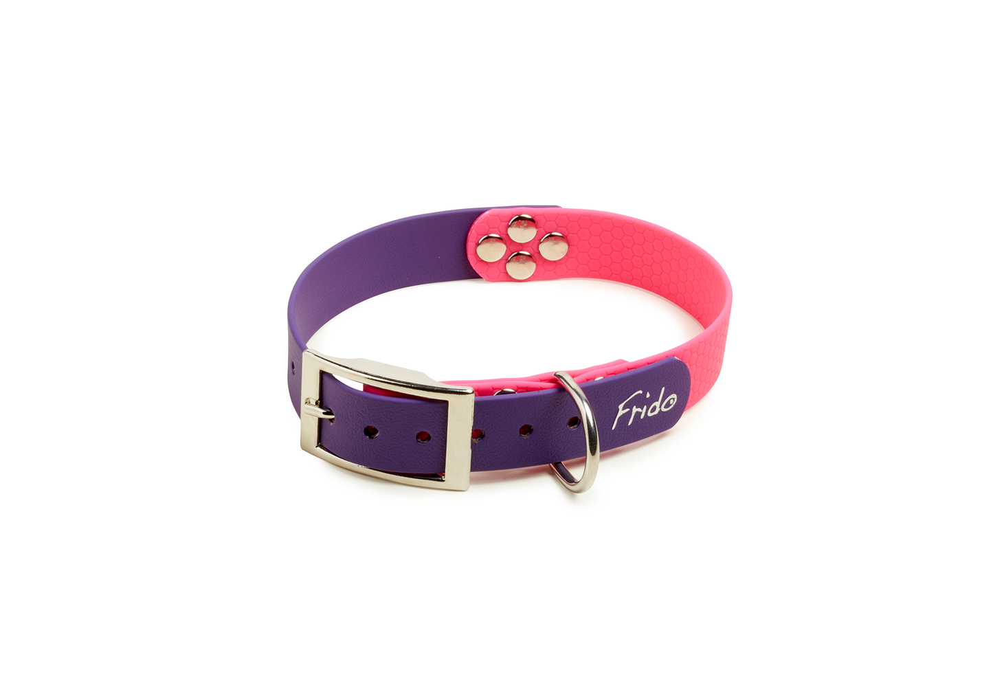 Collare per Cani Linea Pop - Frido