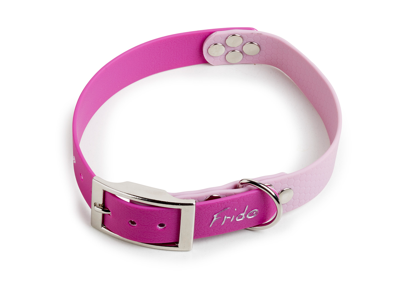 Collare per Cani Linea Pop - Frido