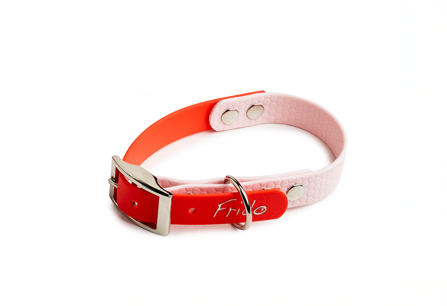 Collare per Cani Linea Pop - Frido