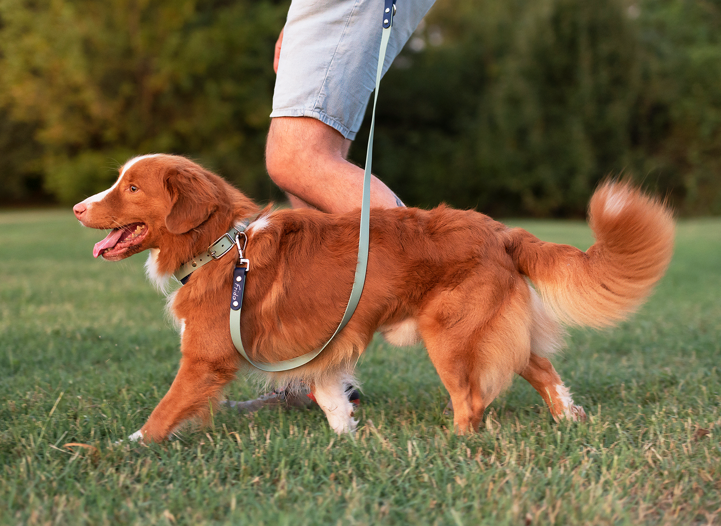 Guinzaglio per cani in Biothane® Linea Duo - personalizzabile - Frido