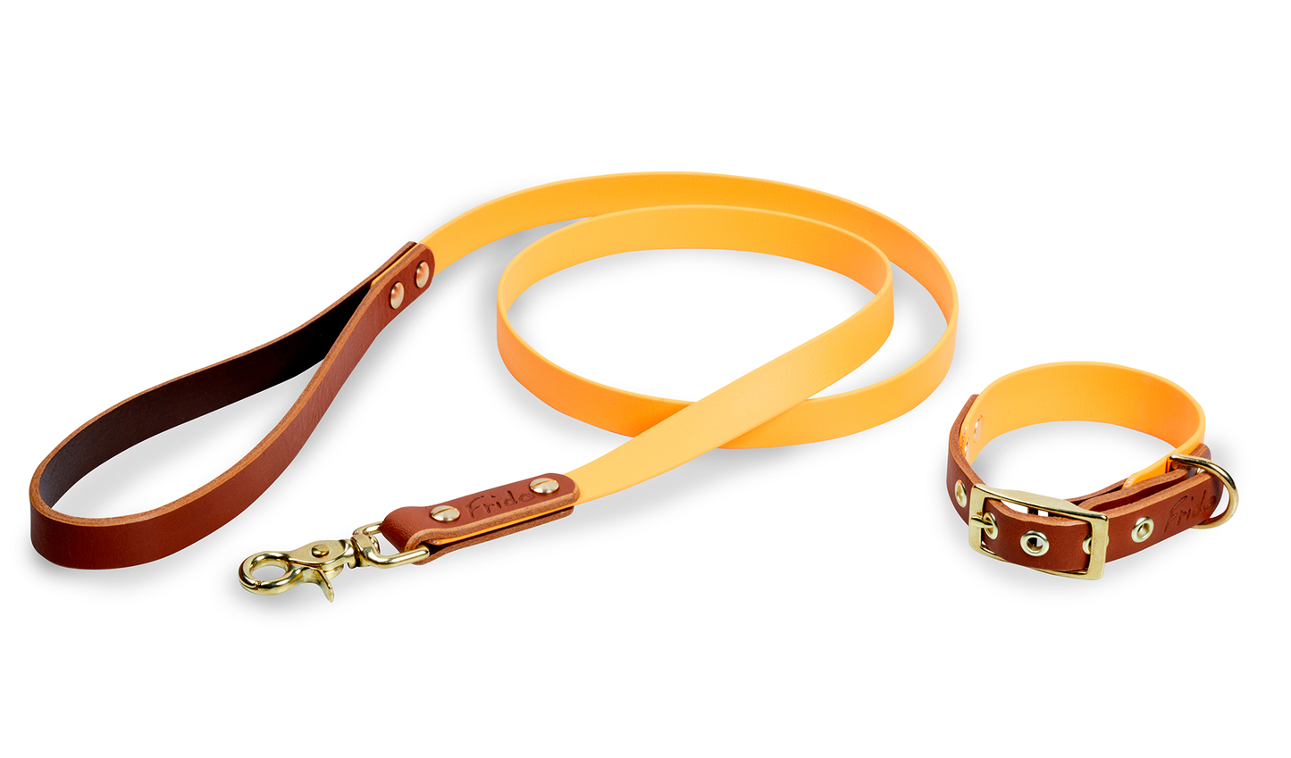 Set collare e guinzaglio per cani in Cuoio e Biothane® linea Combo - personalizzabile - Frido