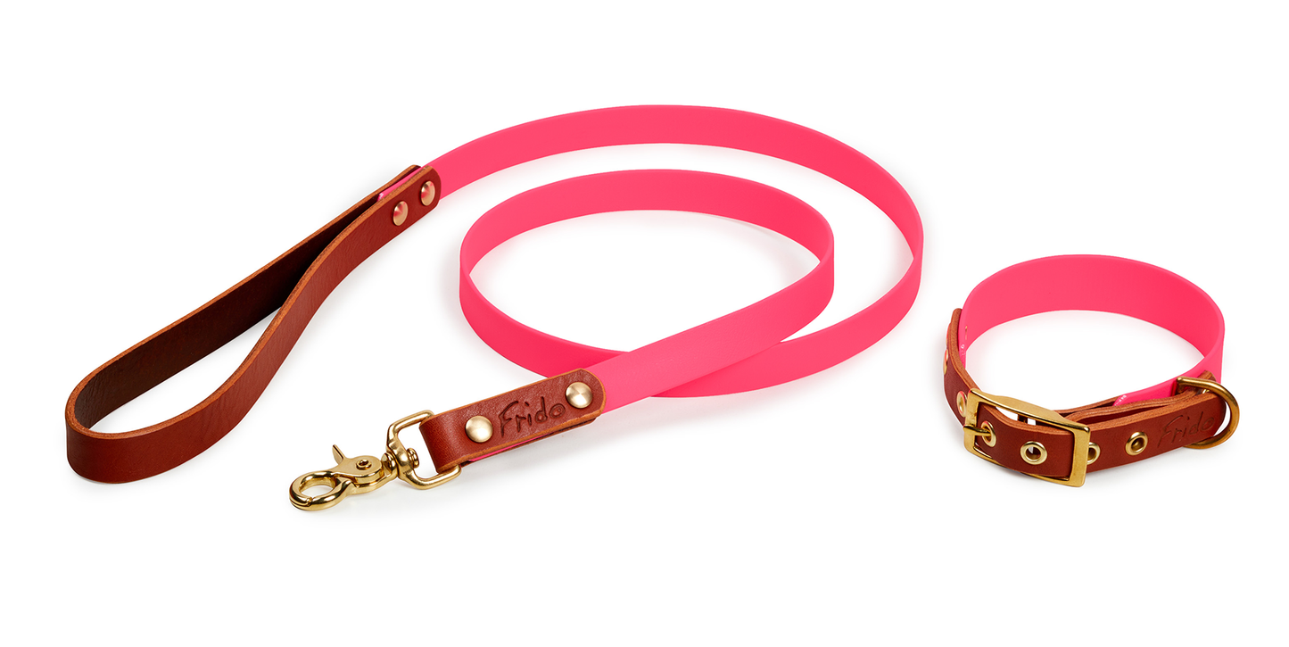 Set collare e guinzaglio per cani in Cuoio e Biothane® linea Combo - personalizzabile - Frido
