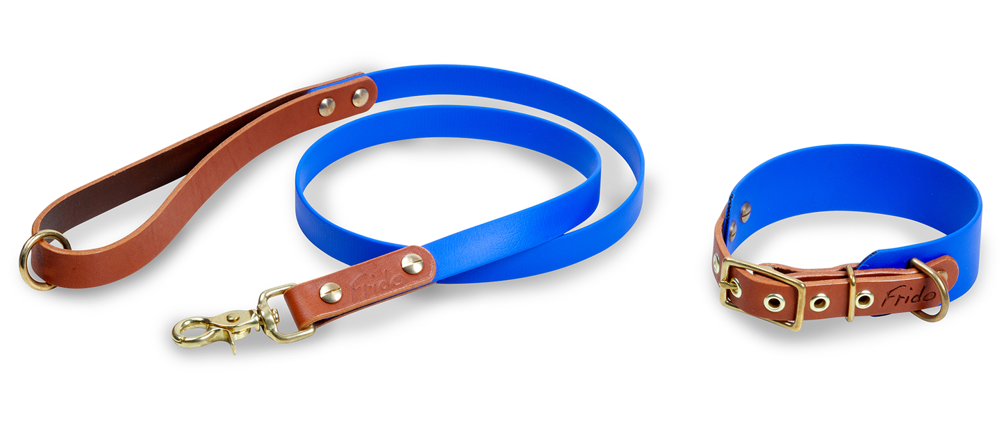Set collare e guinzaglio per cani in Cuoio e Biothane® linea Combo - personalizzabile - Frido
