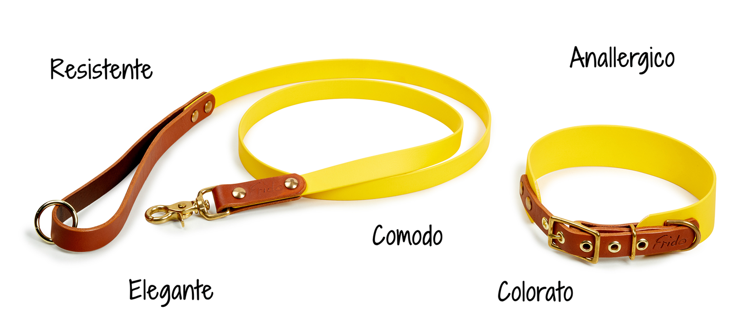 Set collare e guinzaglio per cani in Cuoio e Biothane® linea Combo - personalizzabile - Frido