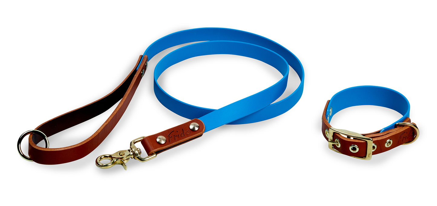 Set collare e guinzaglio per cani in Cuoio e Biothane® linea Combo - personalizzabile - Frido