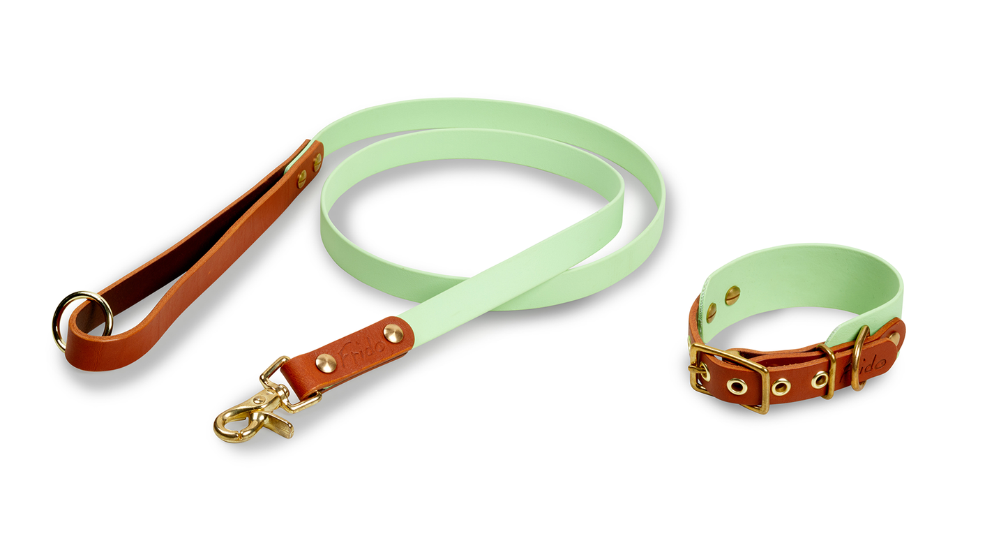 Set collare e guinzaglio per cani in Cuoio e Biothane® linea Combo - personalizzabile - Frido