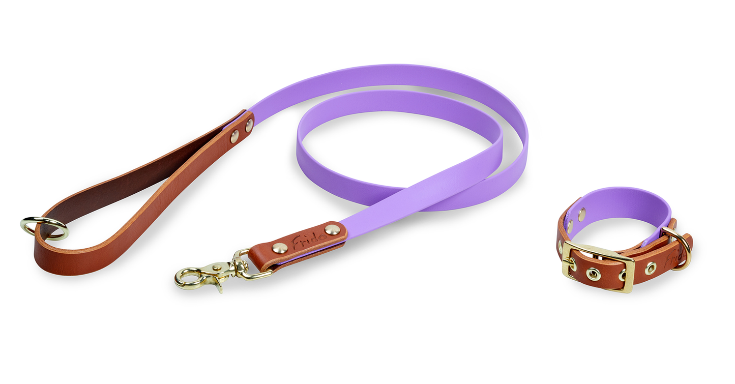 Set collare e guinzaglio per cani in Cuoio e Biothane® linea Combo - personalizzabile - Frido