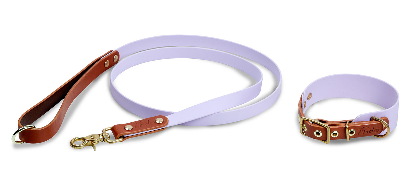 Set collare e guinzaglio per cani in Cuoio e Biothane® linea Combo - personalizzabile - Frido