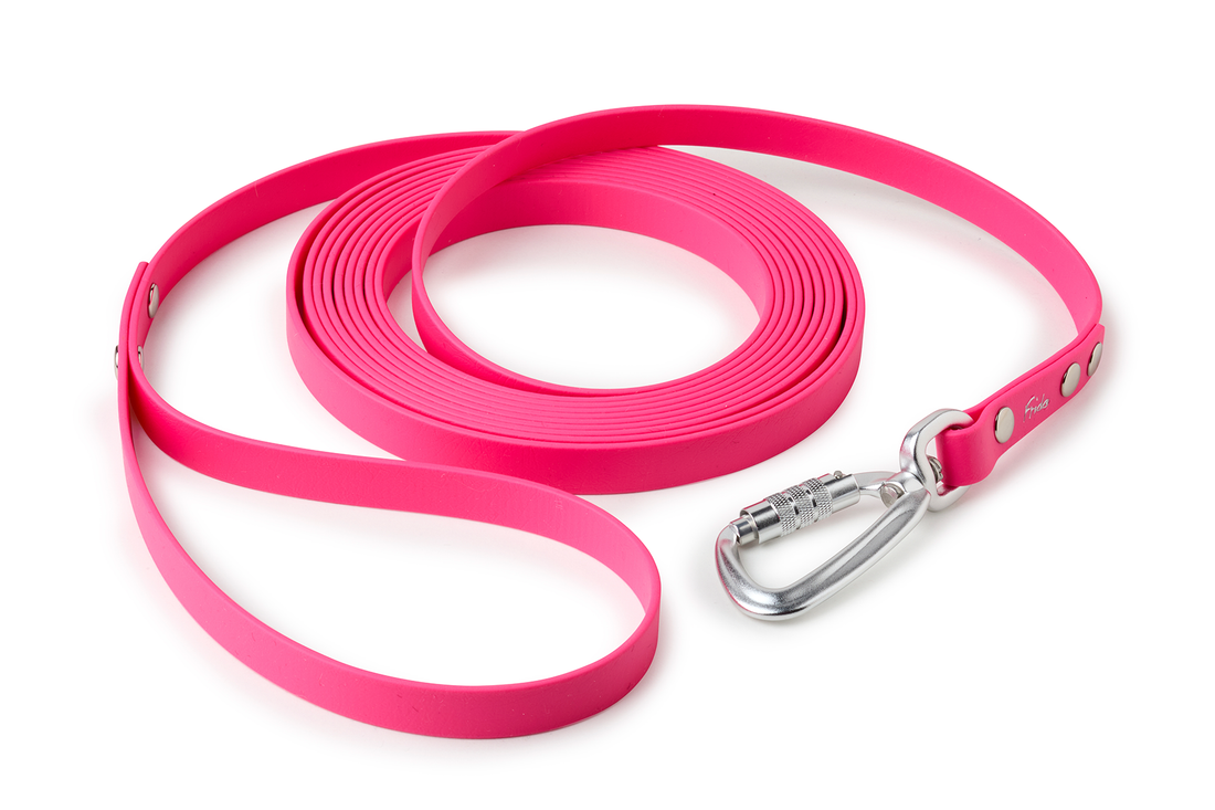 Come scegliere la lunghina giusta per il tuo cane