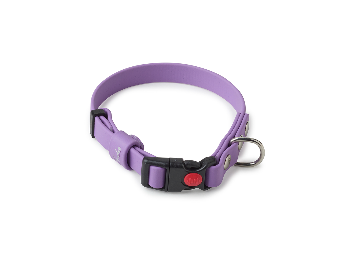 Collare per cani Toy e cuccioli in Biothane® regolabile con clip 16mm - personalizzabile - Frido