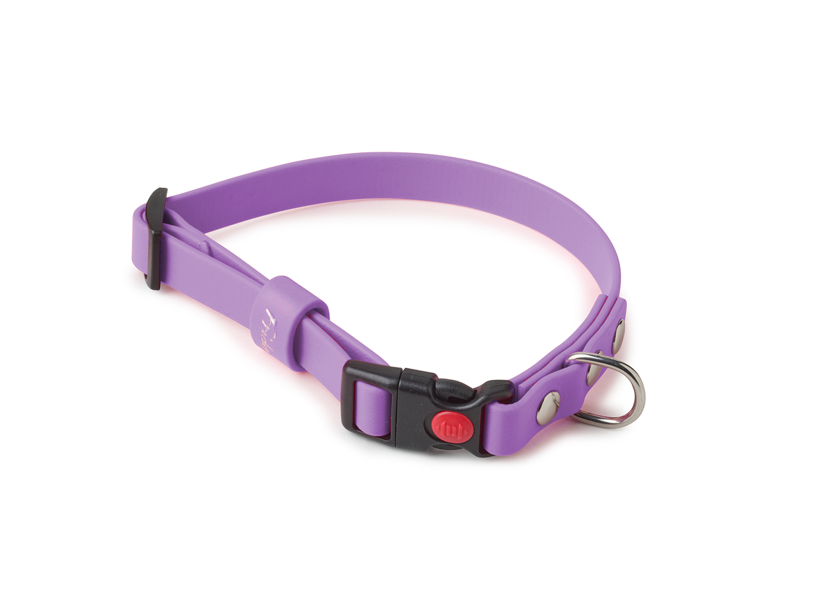 Collare per cani in Biothane® regolabile con clip 16mm - personalizzabile - Frido