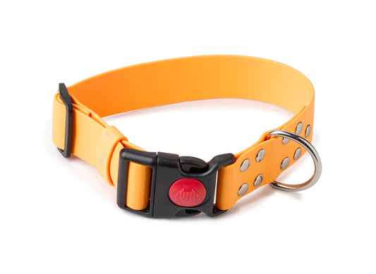 Collare per cani in Biothane® regolabile con clip 38mm - personalizzabile - Frido