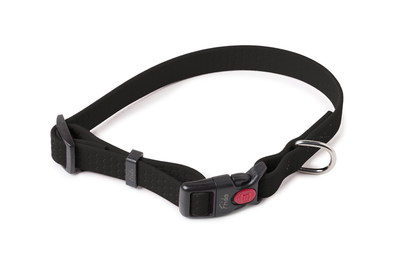 Collare per Cani - Linea Zero - Frido
