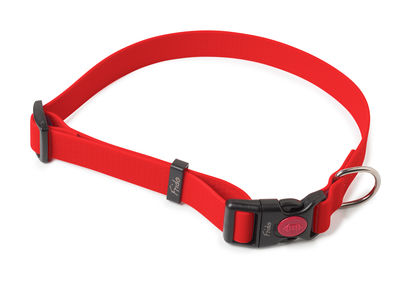 Collare per Cani - Linea Zero - Frido