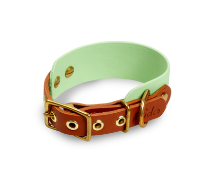 Collare per cani in Cuoio e Biothane® linea Combo - personalizzabile - Frido