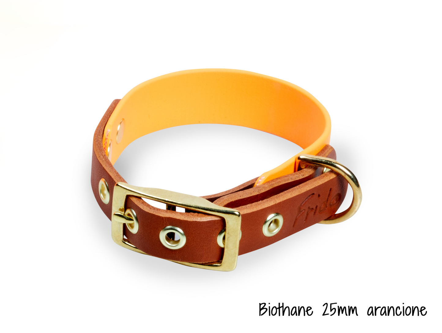 Collare per cani in Cuoio e Biothane® linea Combo - personalizzabile - Frido