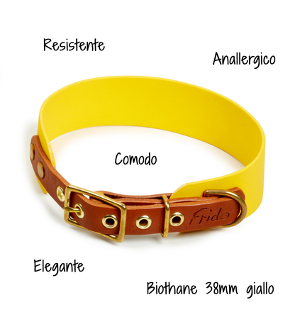 Collare per cani in Cuoio e Biothane® linea Combo - personalizzabile - Frido