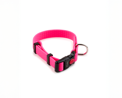 Collare per Cani Linea Zero - Frido