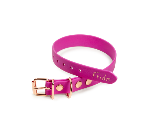 Collare per cani in fettuccia Waterproof - Viola - Frido