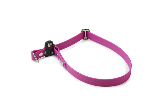 Collare per cani Retriever in fettuccia Waterproof - personalizzabile - Frido