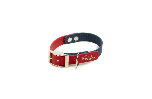 Collare per Cani Linea Pop - Frido