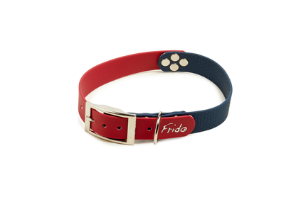 Collare per Cani Linea Pop - Frido