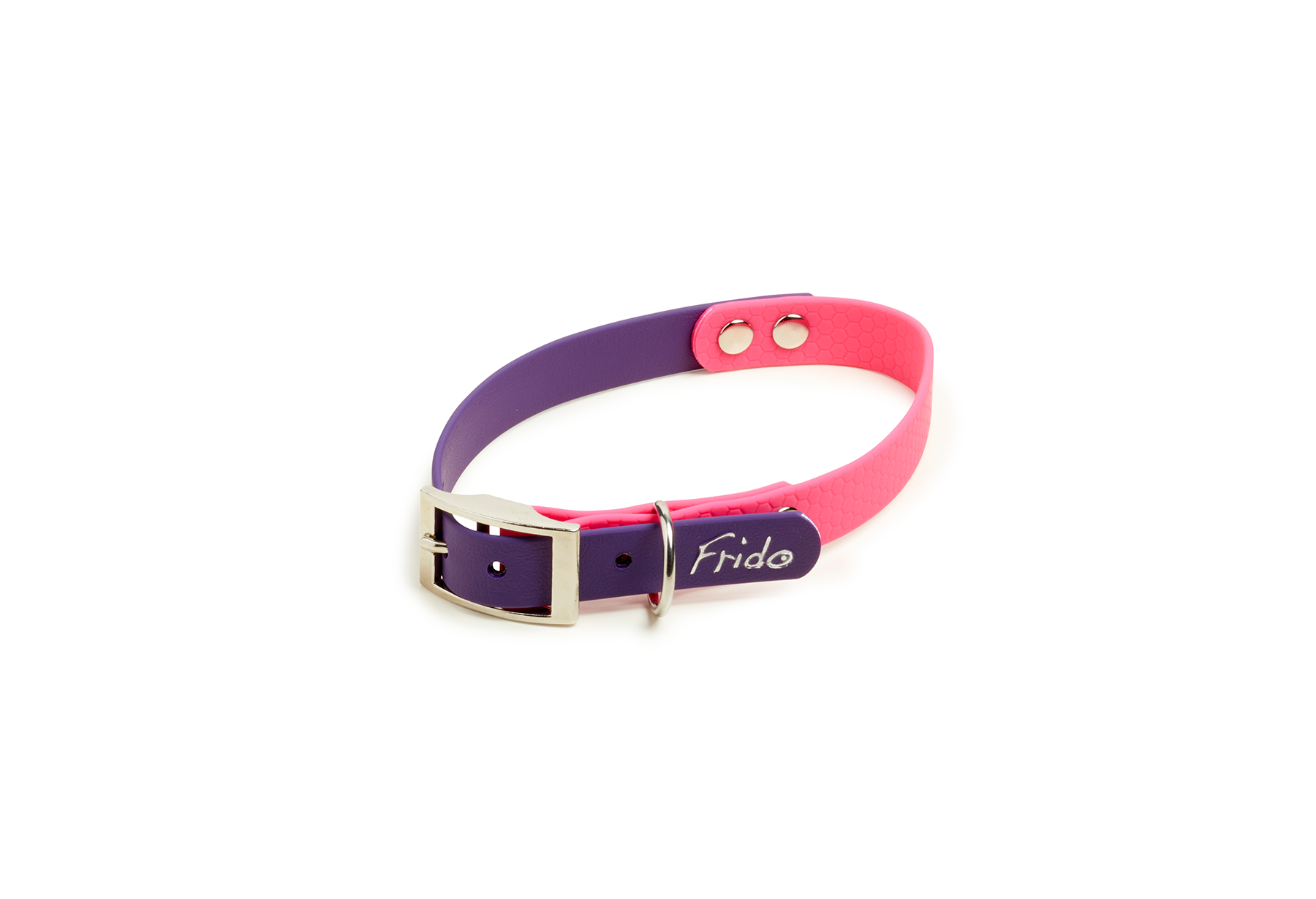 Collare per Cani Linea Pop - Frido