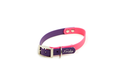 Collare per Cani Linea Pop - Frido
