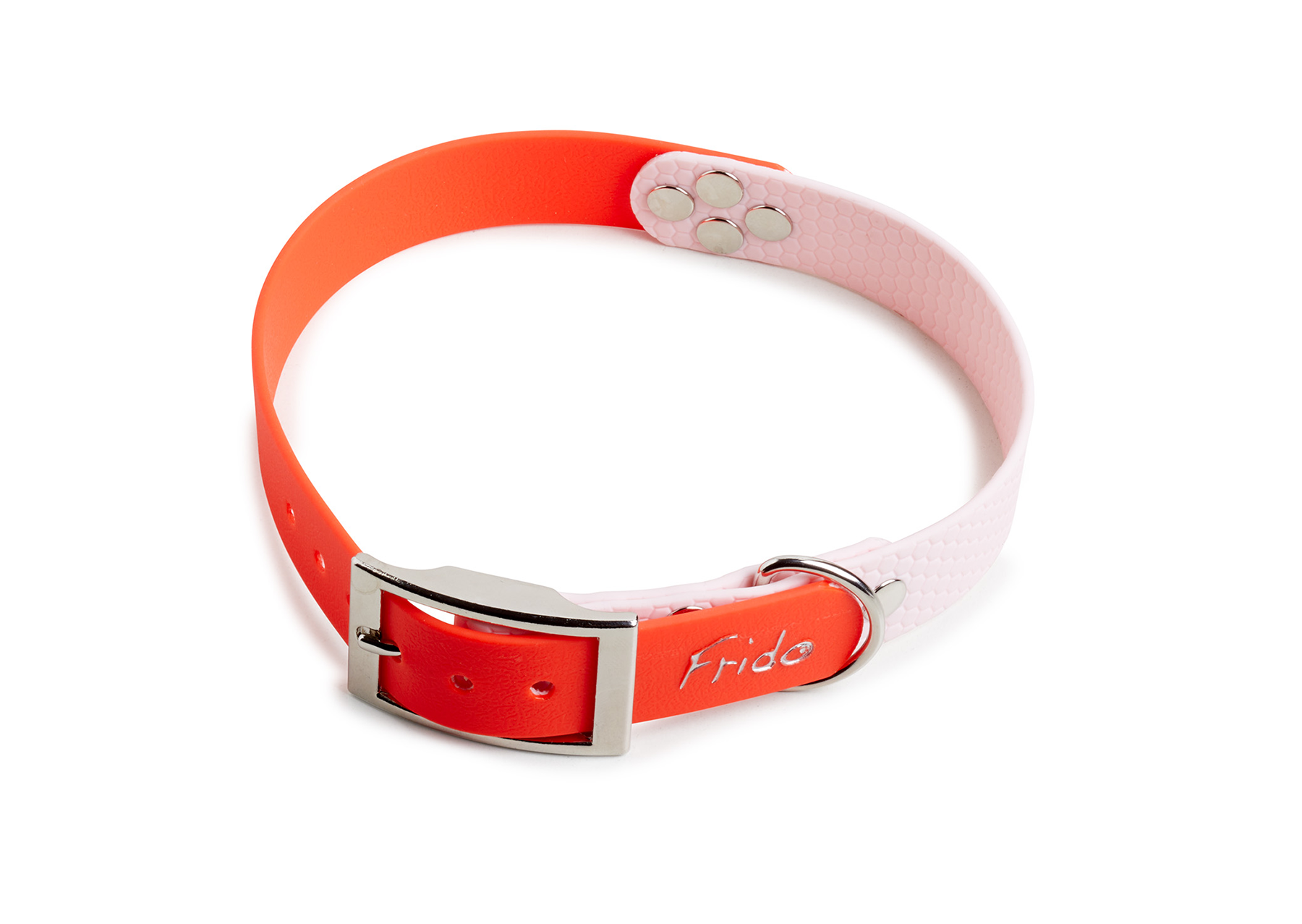 Collare per Cani Linea Pop - Frido