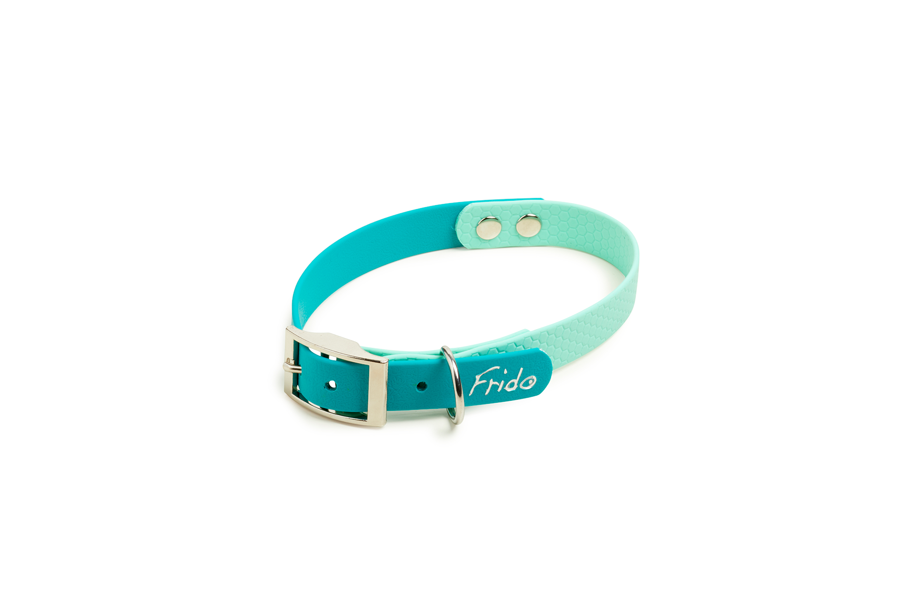 Collare per Cani Linea Pop - Frido