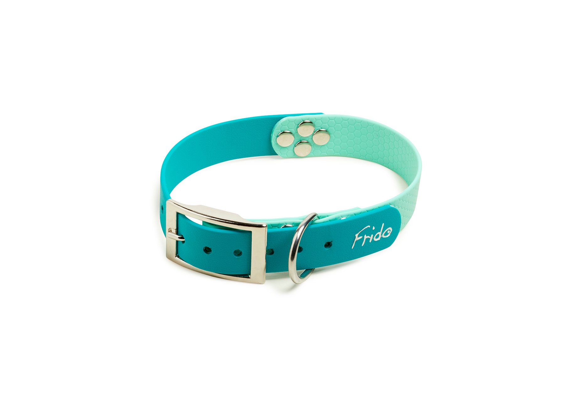 Collare per Cani Linea Pop - Frido