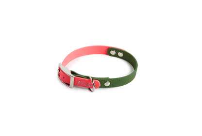 Collare per Cani Linea Pop - Frido