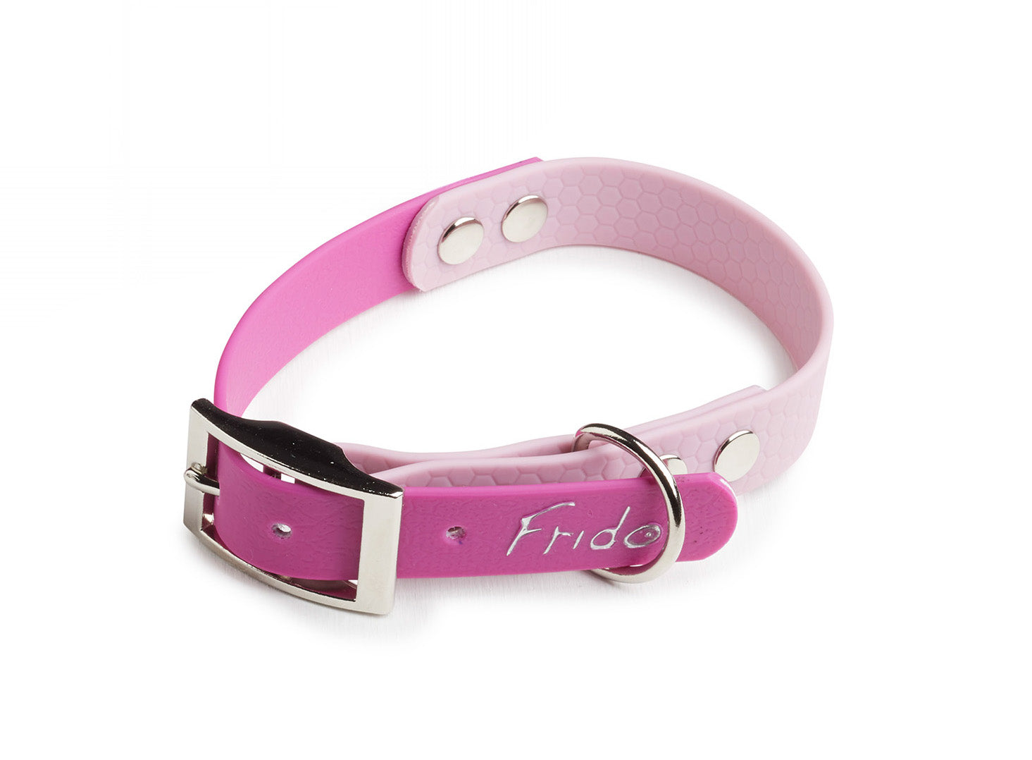 Collare per Cani Linea Pop - Frido