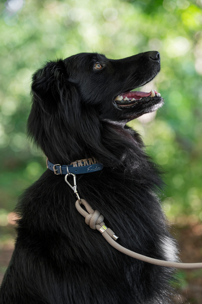 Collare per Cani - Linea Twist - Frido