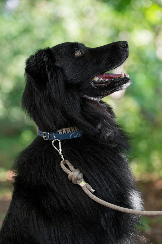 Collare per Cani - Linea Twist - Frido