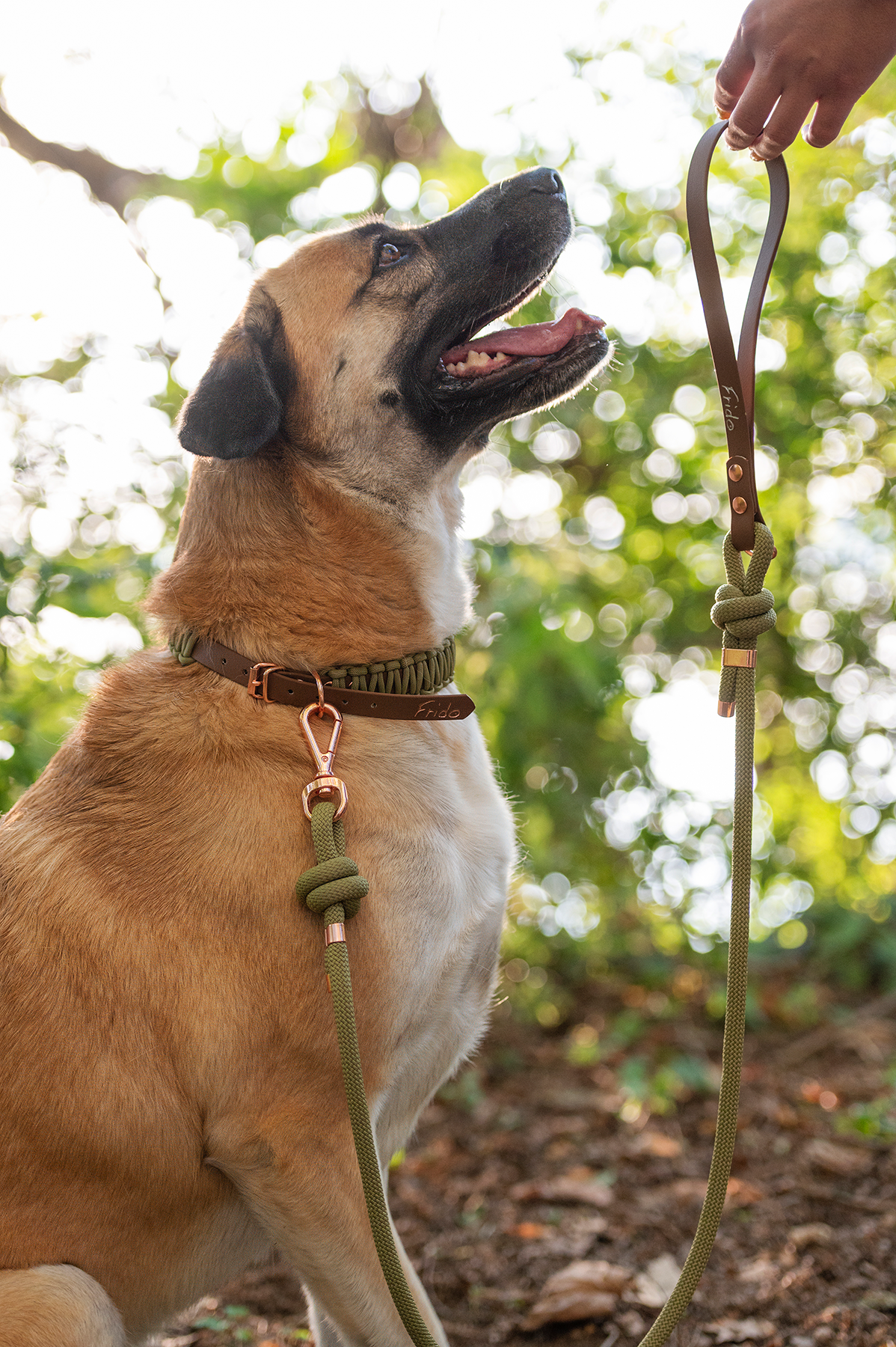 Guinzaglio in Corda con Maniglia per Cani - Linea Twist - Frido