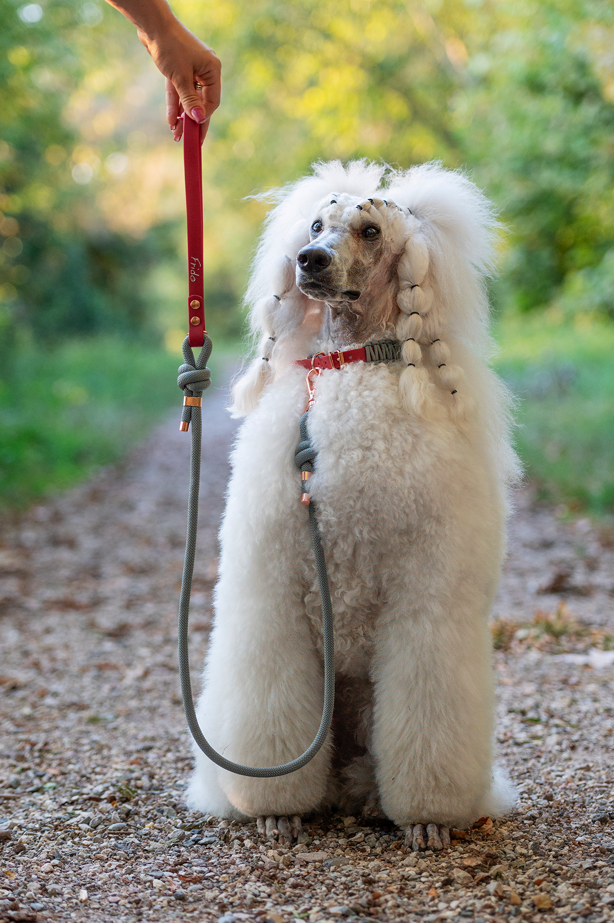 Guinzaglio in Corda con Maniglia per Cani - Linea Twist - Frido
