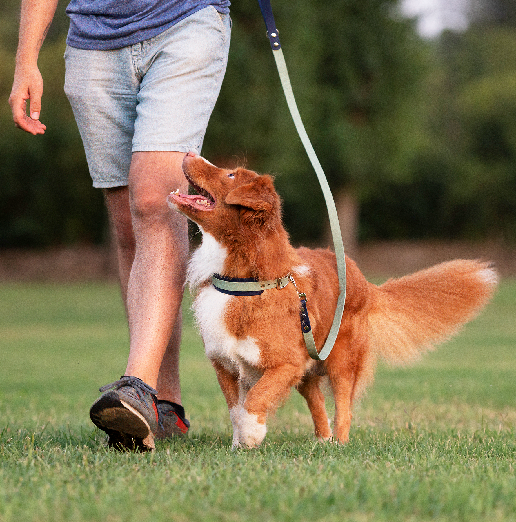 Guinzaglio per cani in Biothane® Linea Duo - personalizzabile - Frido