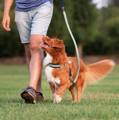 Guinzaglio per cani in Biothane® Linea Duo - personalizzabile - Frido