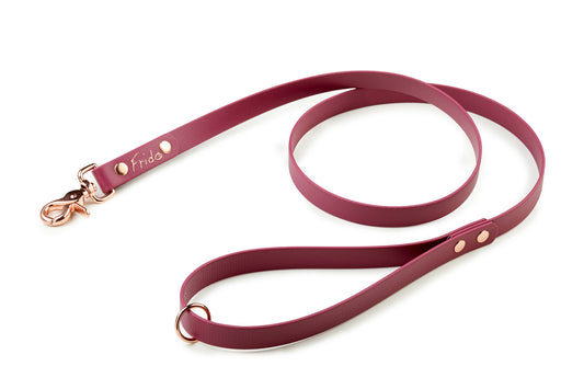Guinzaglio per cani in Biothane® - personalizzabile - Frido
