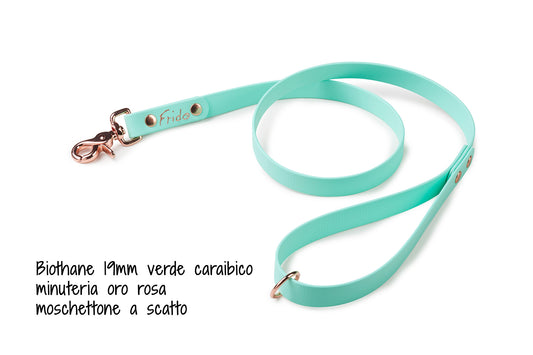 Guinzaglio per cani in Biothane® Verde Caraibico 19mm - Frido