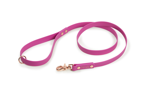 Guinzaglio per cani in fettuccia Waterproof - Viola - Frido