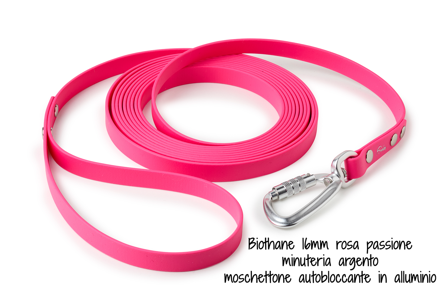 Lunghina per cani in Biothane® - personalizzabile - Frido
