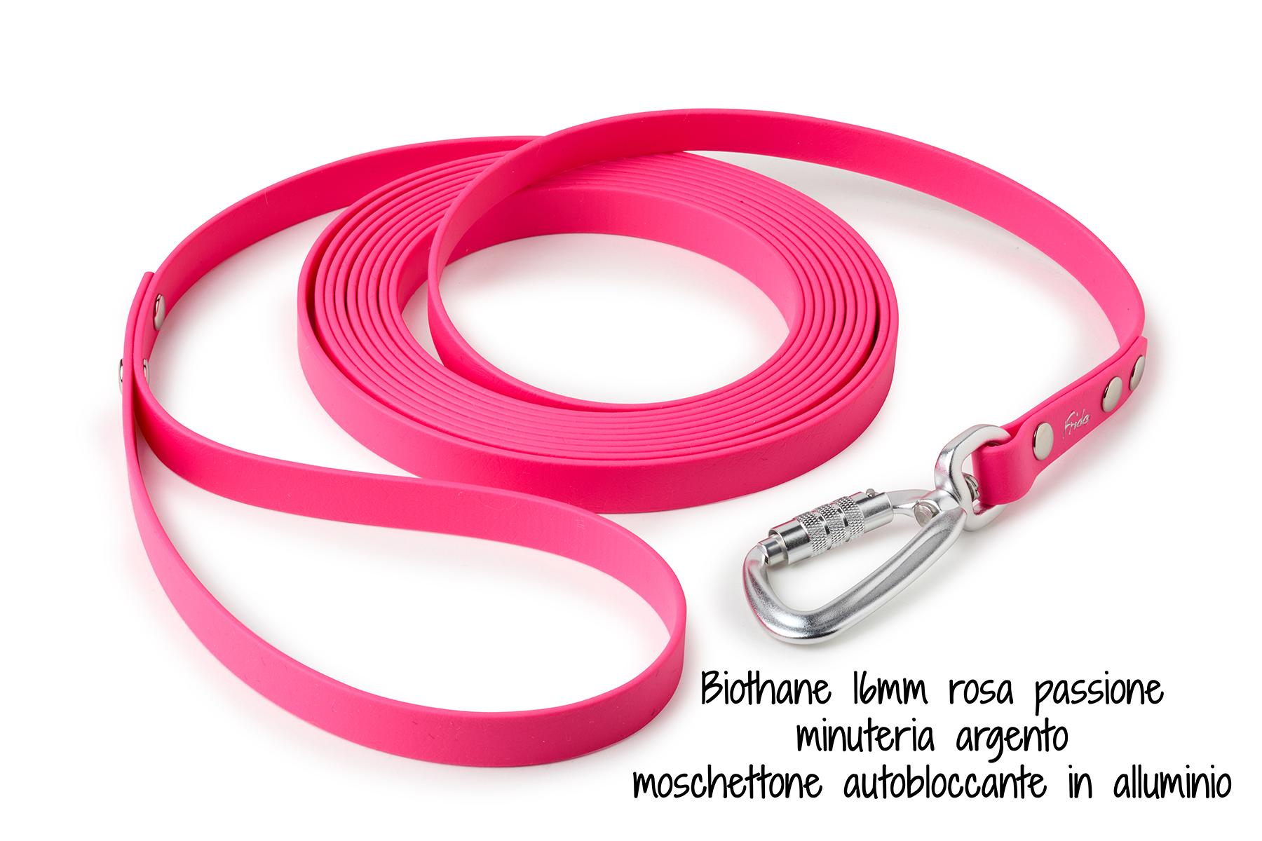 Lunghina per cani in Biothane® - personalizzabile - Frido