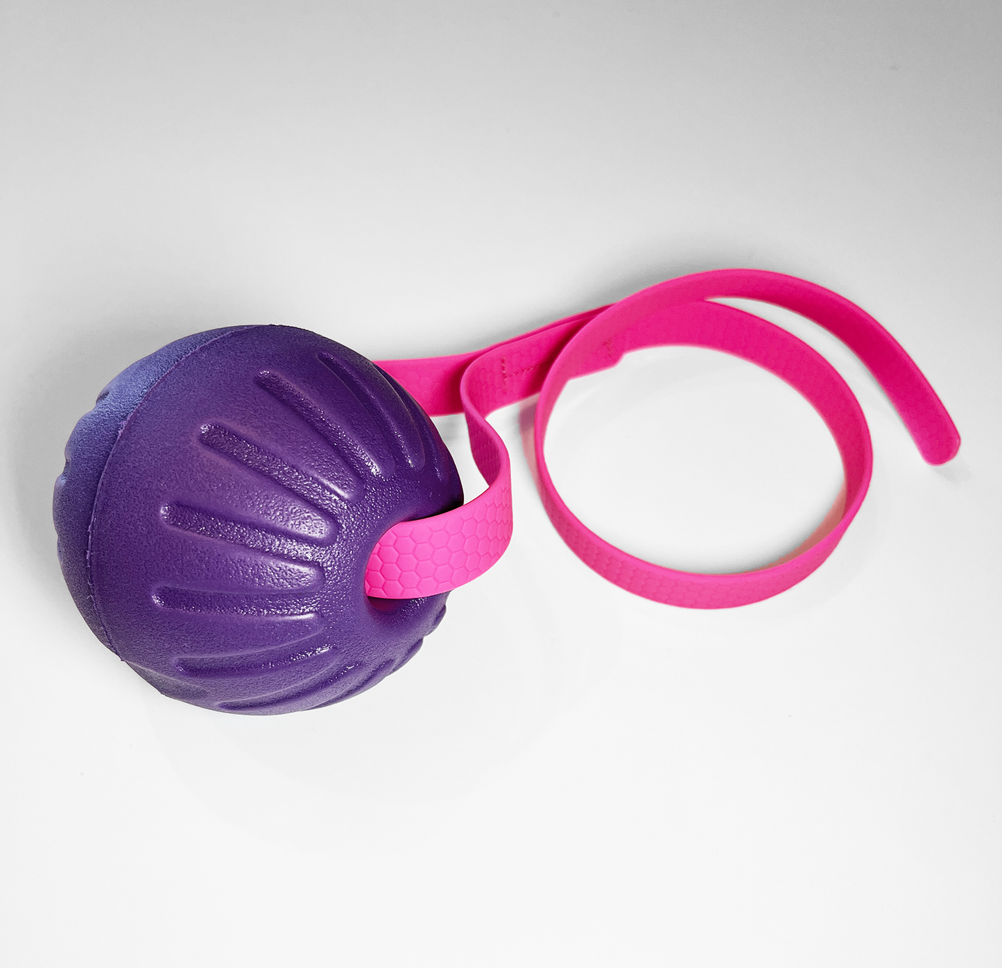 Pallina per cani in schiuma EVA Foam con manico