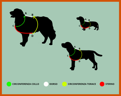 Pettorina per cani ad H regolabile Linea Pop - personalizzabile - Frido