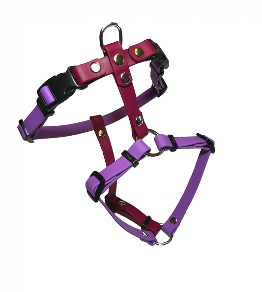 Adjustable H-harness Pop Line